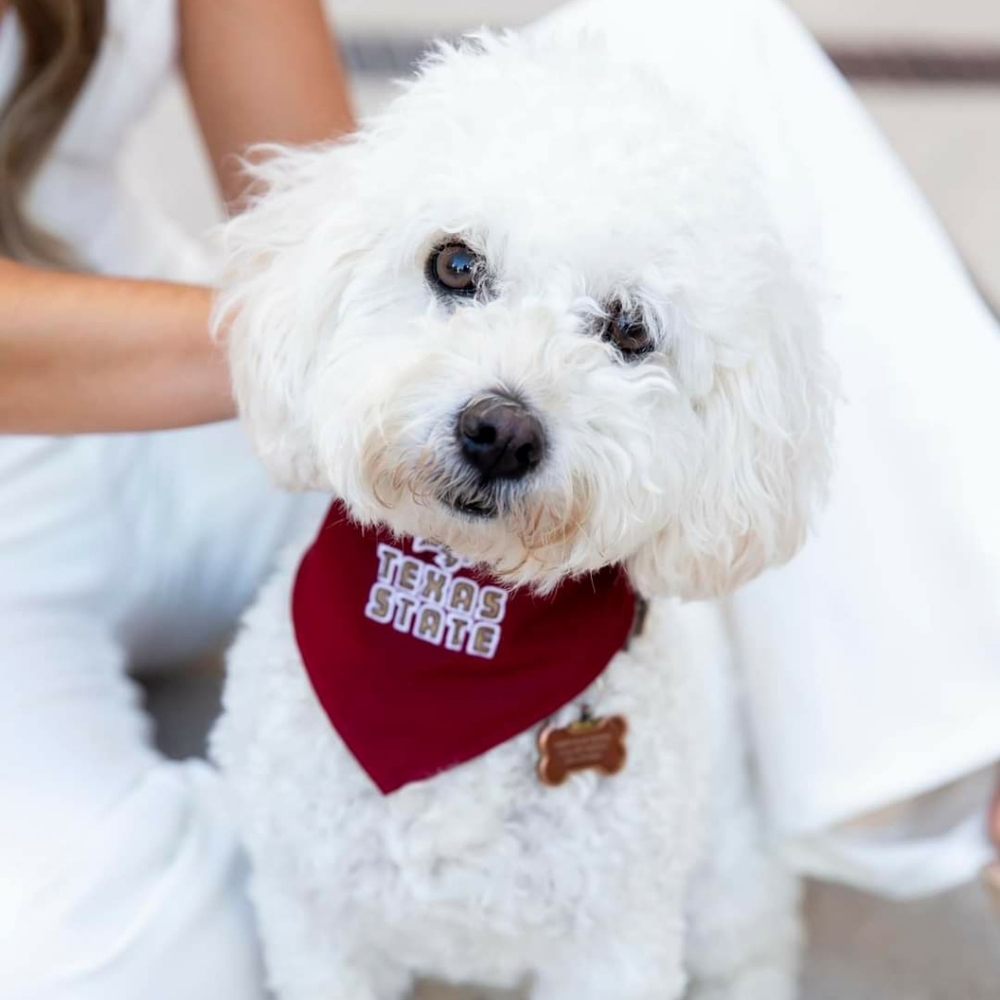 Meet your Posher, Jesse